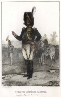 Полковник пеших гренадер Старой гвардии Наполеона. Литография Н.-Т. Шарле. Париж, 1817