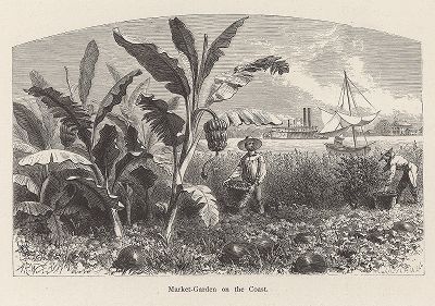 Плантация на берегу реки Миссисипи. Лист из издания "Picturesque America", т.I, Нью-Йорк, 1872.