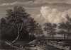 Лесная опушка. Гравюра с картины Мейндерта Хоббемы. Картинные галереи Европы, т.3. Санкт-Петербург, 1864