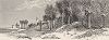 Устье реки Сент-Джон-ривер, штат Флорида. Вид с реки на берег. Лист из издания "Picturesque America", т.I, Нью-Йорк, 1872.