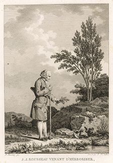 Жан-Жак Руссо, собирающий гербарий в июне 1778 года. 