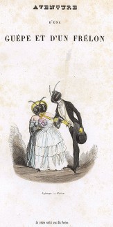 Разговор осы и шершня. Les Papillons, métamorphoses terrestres des peuples de l'air par Amédée Varin. Париж, 1852