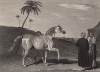 Арабская верховая лошадь. Гравюра с живописного оригинала британского художника-анималиста Бенджамина Маршала. The Sportsman's Repository… by John Scott. Лондон, 1809
