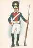 Солдат первого гренадерского полка шведской лейб-гвардии в униформе образца 1798-1807 гг. Svenska arméns munderingar 1680-1905. Стокгольм, 1911