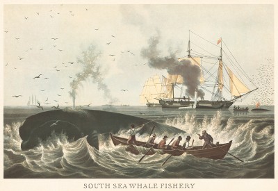 Охота на китов в Южном море. Репринт середины XX века со старинной английской гравюры