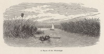 Заболоченные протоки в дельте реки Миссисипи. Лист из издания "Picturesque America", т.I, Нью-Йорк, 1872.