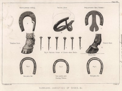 Подковать лошадь. Виды подков и гвозди для подков. The Book of Field Sports and Library of Veterinary Knowledge. Лондон, 1864