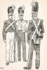 Офицер и солдаты первого гренадерского полка шведской лейб-гвардии в униформе образца 1814-31 гг. Svenska arméns munderingar 1680-1905. Стокгольм, 1911