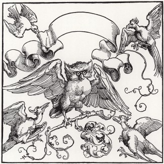 Сова, дерущаяся с птицами (гравюра Альбрехта Дюрера)