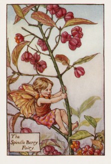 Осенние феи: фея ягод бересклета