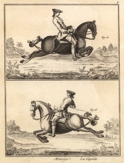 Выездка. Прыжки (Ивердонская энциклопедия. Том VII. Швейцария, 1778 год)