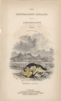 Титульный лист XXIX тома "Библиотеки натуралиста" Вильяма Жардина, изданного в Эдинбурге в 1835 году и посвящённого баронету Джозефу Бенксу (на миниатюре изображён океанский окунь)