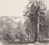 Долина Флор и вид на скалы горного хребта Кафедрал, Йосемити, штат Калифорния. Лист из издания "Picturesque America", т.I, Нью-Йорк, 1872.