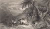 Толанаро -- городок на острове Мадагаскар. Meyer's Universum, Oder, Abbildung Und Beschreibung Des Sehenswerthesten Und Merkwurdigsten Der Natur Und Kunst Auf Der Ganzen Erde, Хильдбургхаузен, 1838 год.