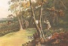 Охота на фазана. Из альбома The Four Seasons. Иллюстрации выполнены по старинным гравюрам. Лондон, 1950-е гг.