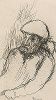 Портрет Пьера-Огюста Ренуара. Один из немногих офортов Пьера Боннара, ок. 1916. 