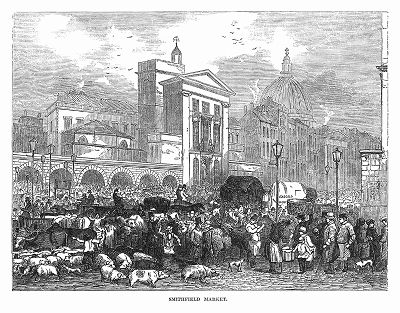 Знаменитый лондонский оптовый рынок мяса и битой птицы "Смитфилд" (The Illustrated London News №301 от 05/02/1848 г.)