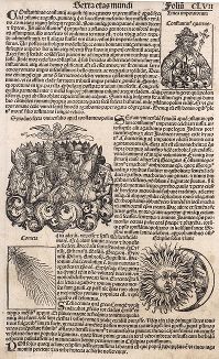 Лист 157 из знаменитой первопечатной книги Хартмана Шеделя "Всемирная хроника", также известной как "Нюрнбергские хроники". Die Schedelsche Weltchronik (Liber Chronicarum). Нюрнберг, 1493