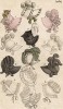 Шляпки, чепцы и чепчики из бархата, тюля, кружева и перкаля. Из первого французского журнала мод эпохи ампир Journal des dames et des modes, Париж, 1813. Модель № 1282