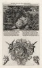 1. Иисус в Гефсиманском саду. Моление о чаше 2. Агарь и ангел (из Biblisches Engel- und Kunstwerk -- шедевра германского барокко. Гравировал неподражаемый Иоганн Ульрих Краусс в Аугсбурге в 1694 году)