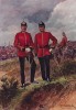 Офицеры королевского Ворвикширского полка (иллюстрация к His Magesty's Territorial Army... Лондон. 1911 год)