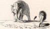 «Размышлениях о необходимых мерах в случае новой войны с Австрией». Слон – большая, но неповоротливая армия австрийцев, лев – пруссаки.