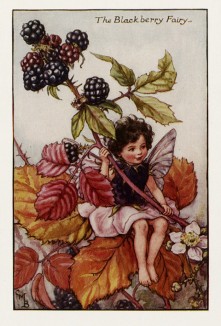 Осенние феи: фея ягод ежевики
