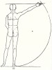 Пропорции мужской фигуры (вид сзади ) (из "Четырёх книг о человеческих пропорциях")