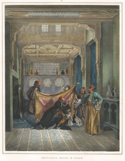 Визит египетского доктора в гарем (из "Путешествия на Восток..." герцога Максимилиана Баварского. Штутгарт. 1846 год (лист III))