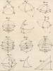 Математика. Тригонометрия. (Ивердонская энциклопедия. Том VIII. Швейцария, 1779 год)