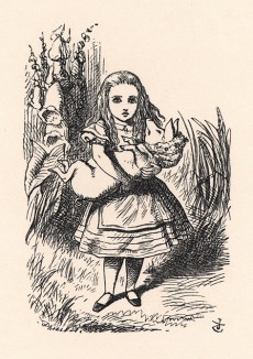 Алиса уже начала подумывать о том, что с ним делать, когда она вернётся домой (иллюстрация Джона Тенниела к книге Льюиса Кэрролла «Алиса в Стране Чудес», выпущенной в Лондоне в 1870 году)