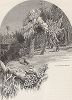 Лунный остров зимой. Окрестности Ниагарского водопада. Лист из издания "Picturesque America", т.I, Нью-Йорк, 1872.
