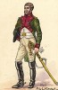 Хирург-майор 1-го класса драгунского полка французской императорской гвардии. Коллекция Роберта фон Арнольди. Германия, 1911-28
