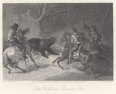 Охота с лассо на медведя в Калифорнии. Лист из издания "Picturesque America", т.II, Нью-Йорк, 1874.