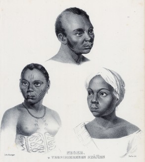 Представители разных африканских племён (лист 22 второго тома работы профессора Шинца Naturgeschichte und Abbildungen der Menschen und Säugethiere..., вышедшей в Цюрихе в 1840 году)