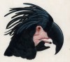Голова ары чёрного (лист 13 иллюстраций к первому тому Histoire naturelle des perroquets Франсуа Левальяна. Изображения попугаев из этой работы считаются одними из красивейших в истории. Париж. 1801 год)