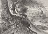 Река Саванна-ривер и город Аугуста, штат Джорджия. Лист из издания "Picturesque America", т.I, Нью-Йорк, 1872.