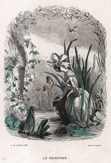 Гордая леди Нарцисс любуется на свое отражение в озере в компании стрекозы и ящерицы. Les Fleurs Animées par J.-J Grandville. Париж, 1847
