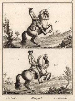 Выездка. Вставание на дыбы и курбет (Ивердонская энциклопедия. Том VII. Швейцария, 1778 год)