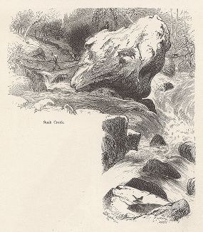 Опасные пороги на реке Теннесси, штат Теннесси. Лист из издания "Picturesque America", т.I, Нью-Йорк, 1872.