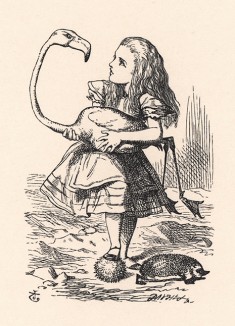 Он изогнет шею и поглядит ей прямо в глаза, да так удивлённо, что она начинает смеяться (иллюстрация Джона Тенниела к книге Льюиса Кэрролла «Алиса в Стране Чудес», выпущенной в Лондоне в 1870 году)