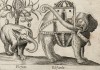 Слоны (лист из альбома Nova raccolta de li animali piu curiosi del mondo disegnati et intagliati da Antonio Tempesta... Рим. 1651 год)