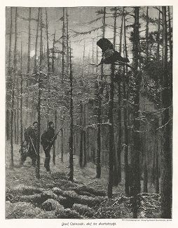 Охота на глухаря. Moderne Kunst..., т. 9, Берлин, 1895 год. 