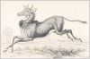 Копия «Антилопа нильгау (Portax picta (лат.)) (лист 21 тома X "Библиотеки натуралиста" Вильяма Жардина, изданного в Эдинбурге в 1843 году)»