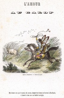 Бабочка Шмелевидка скабиозовая бесстаршно охотится на быка с помощью лассо на берегу реки Рио-Гранде. Les Papillons, métamorphoses terrestres des peuples de l'air par Amédée Varin. Париж, 1852