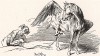 Виньетка к «Воззванию против господ-дармоедов». Иллюстрация к сатирическому произведению Фридриха Великого, направленному против гамбургских и голландских негоциантов, к чьей помощи он прибег для создания Банка Берлина в 1765 г.