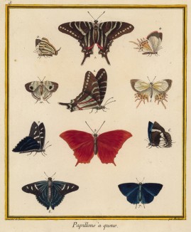 Восемь чудесных бабочек, изображённых Франсуа Мартине для Table des Planches Enluminées d'Histoire Naturelle de M. D'Aubenton (фр.) (Утрехт. 1783 год (лист 18))