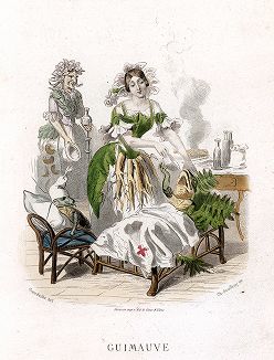 Алтея, помогающая захворавшей лягушке.  Лист из серии "Les Fleurs Animées" Жана Гранвиля, Париж, 1867 год.