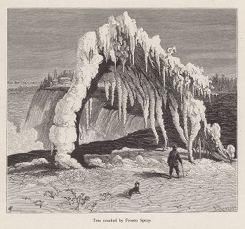Дерево, сломавшееся под тяжестью замёрзшей водяной пыли, вблизи Ниагарского водопада. Лист из издания "Picturesque America", т.I, Нью-Йорк, 1872.