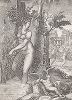 Венера в розовом кусте. Гравюра Джорджио Гизи по оригиналу Луки Пенни, 1582 год.
